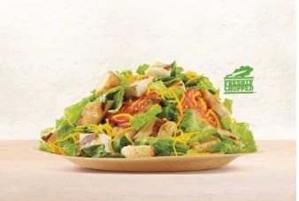 CHICKEN GARDEN SALAD picture