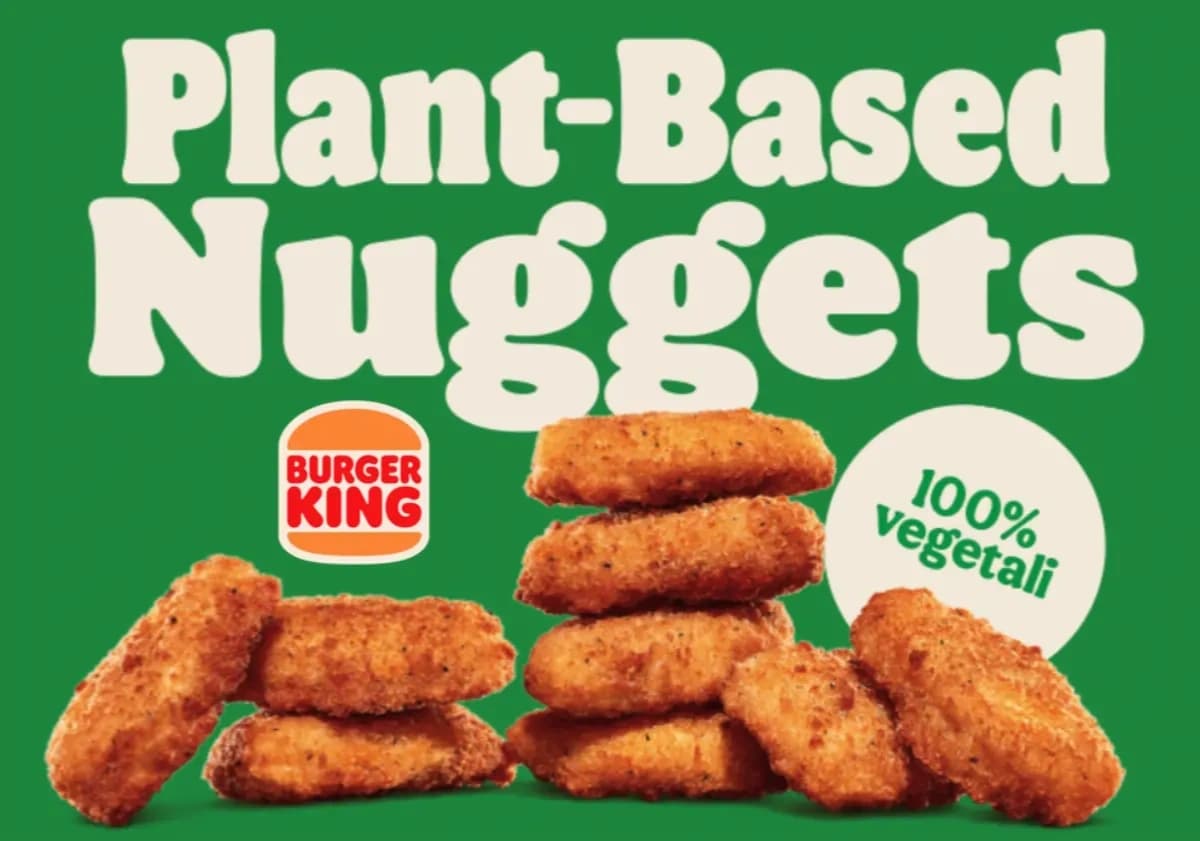 20PCS PLANT BASED NUGGETS picture