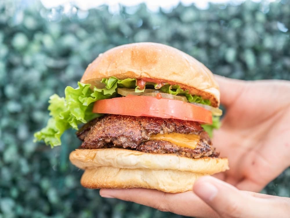 Double Niman Ranch Burger picture