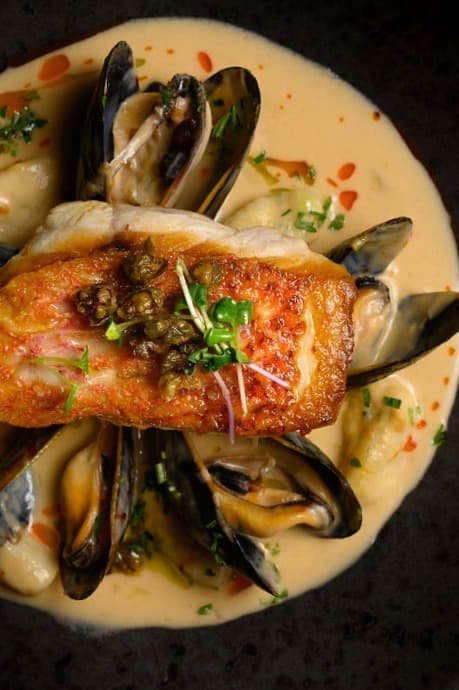 Red Snapper picture