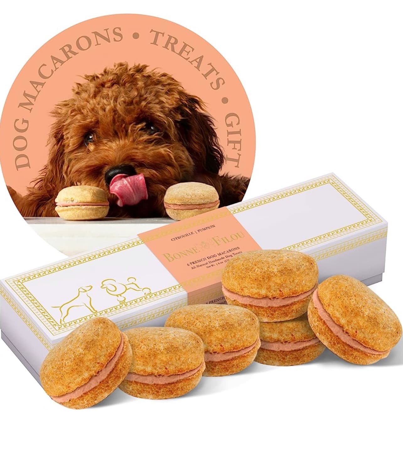 Bonne et Filou , Dog Macarons, Pumpkin picture
