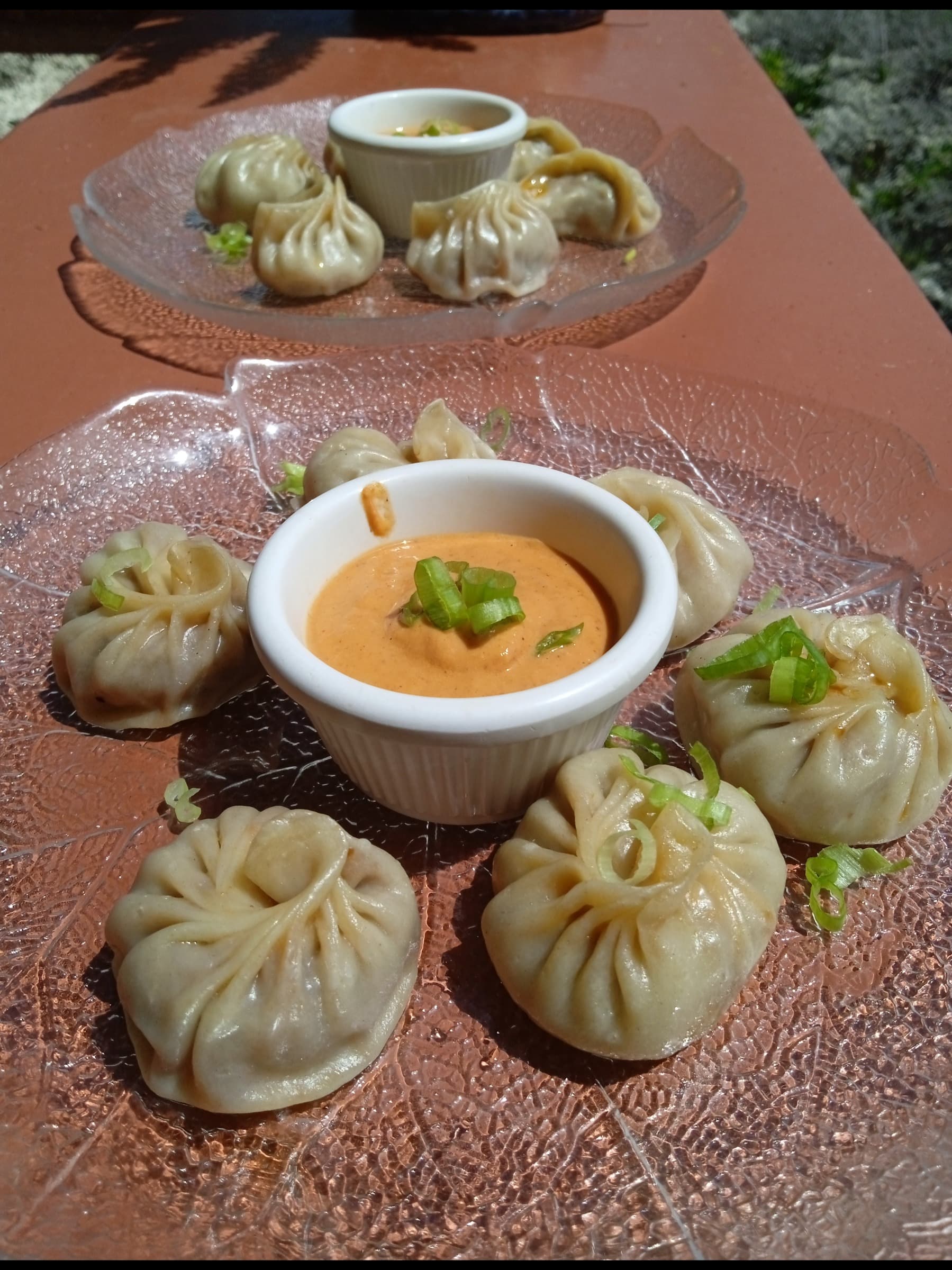 Veggie Momo (V) picture