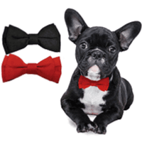 FASHION PET BOW TIE (RED) XS/S Image